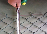 O calibre 12 residencial galvanizou a tela de aço da relação de /Chain da cerca do elo de corrente