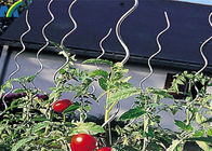 Fio do apoio do tomate dos encaixes da cerca do elo de corrente de 6.5MM*1.8M