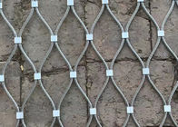 A virola de aço inoxidável da fachada do verde de Webnet da rede da treliça da planta do montanhista cabografa 7 x 7