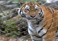 o jardim zoológico de aço inoxidável Mesh Enclosure Netting de 7x19 Tiger Metal 1.2mm X tende dado forma
