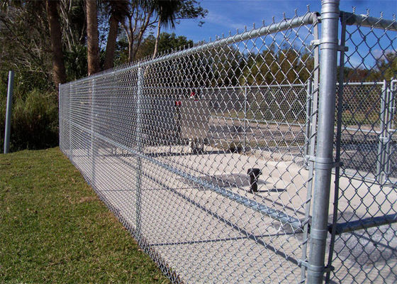 tela galvanizada 2.1Mx2.5M da cerca do elo de corrente para o campo de esportes