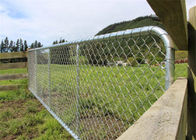 Porta galvanizada quente da cerca do comprimento Chain de 75X75MM para a jarda dos carneiros