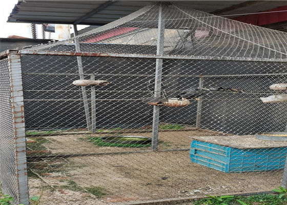 7x7 SS316 25mm atou a corda Mesh Fence For Parrot Bird